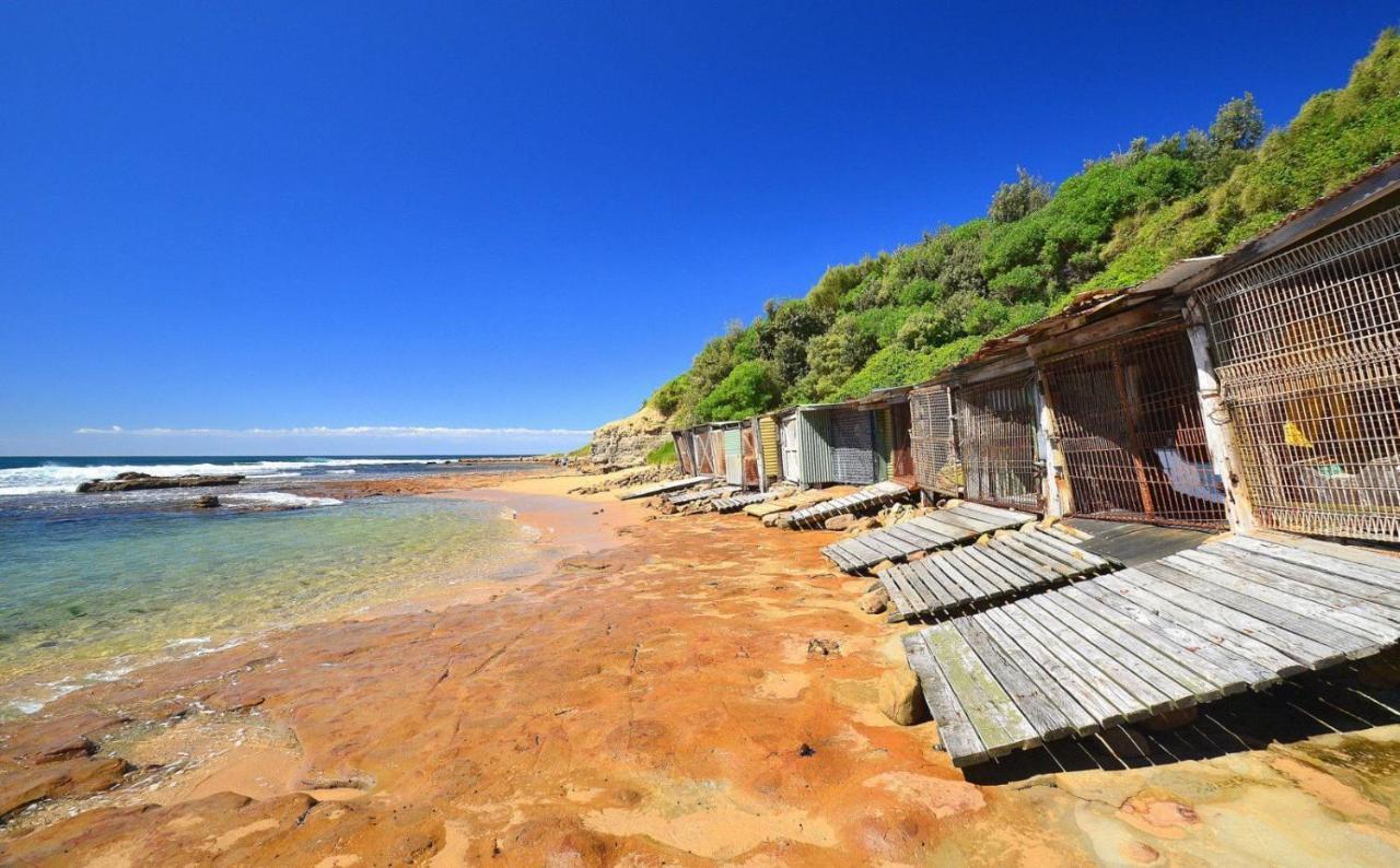 Sandon Point Coastal Abode Bulli Εξωτερικό φωτογραφία